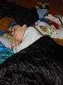 Span ve kole D Beruky a Sovy 17.2.2012