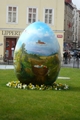 Zameno na toleranci (Praha, 12.4.2012)