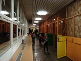 Span ve kole, leden 2013