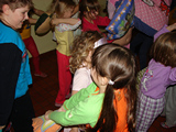 Span ve kole, leden 2013
