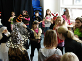 Karneval koln druny, nor 2013