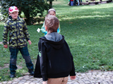 Proitkov kurz kolnho parlamentu, z 2013