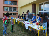 Ppravka na przdniny,  erven 2015
