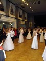 Plesn na Z Masarova, nor 2016