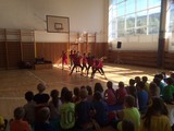 Ocenn 'Masaci', erven 2016