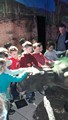 Ronkov projekt Dinosaui, erven 2017