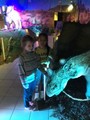 Ronkov projekt Dinosaui, erven 2017