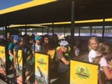 Ronkov projekt Dinosaui, erven 2017