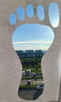 Fotografick sout, erven 2024  ivot ve stop (Veronika Neumannov, 8. B)